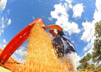 Atividade econômica medida pelo IBC-Br recua 0,6% em junho e interrompe ritmo de crescimento