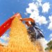 Atividade econômica medida pelo IBC-Br recua 0,6% em junho e interrompe ritmo de crescimento