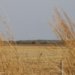 Embrapa entrega a candidatos propostas para elevar competitividade e sustentabilidade no agro