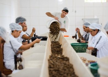 MDIC encerra consulta pública na quarta para definir lista de produtos sustentáveis do Mercosul
