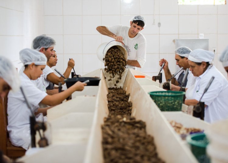 MDIC encerra consulta pública na quarta para definir lista de produtos sustentáveis do Mercosul