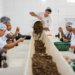 MDIC encerra consulta pública na quarta para definir lista de produtos sustentáveis do Mercosul
