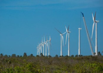 Projeto Futuros Verdes no Nordeste mapeia economia de baixo carbono nos nove estados da região