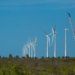 Projeto Futuros Verdes no Nordeste mapeia economia de baixo carbono nos nove estados da região