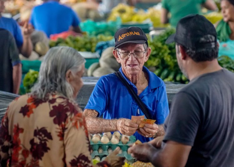 Brasil atinge recorde de 35% de empreendedores formalizados com CNPJ em 2025