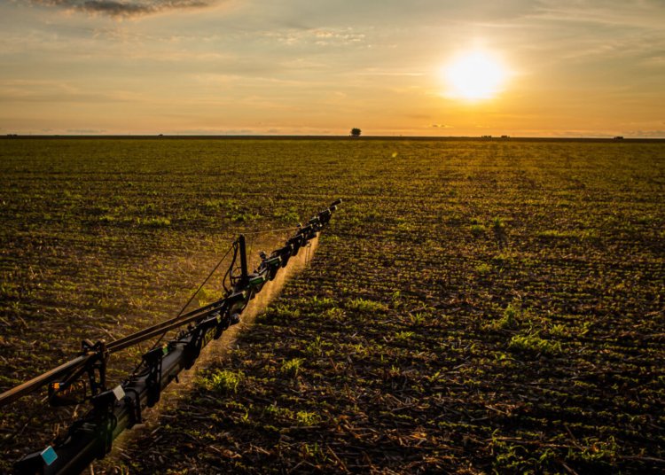 Lei 15.526 estabelece prazos para indenização e integra seguro rural ao crédito agrícola