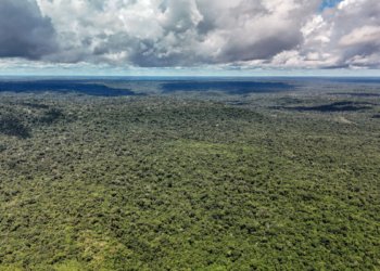 Ministério da Fazenda autoriza operação de US$ 1 bilhão com BID para o Eco Invest Brasil