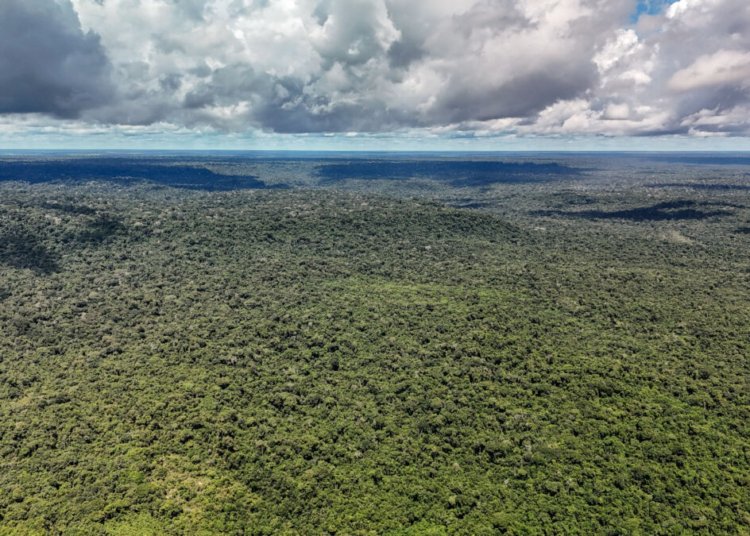 Ministério da Fazenda autoriza operação de US$ 1 bilhão com BID para o Eco Invest Brasil