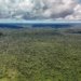 Ministério da Fazenda autoriza operação de US$ 1 bilhão com BID para o Eco Invest Brasil