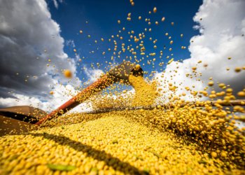 Produção agrícola do Brasil atinge R$ 927,2 bilhões em 2025 e supera marca histórica