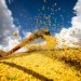 Produção agrícola do Brasil atinge R$ 927,2 bilhões em 2025 e supera marca histórica